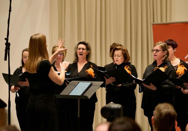 Start to Sing:                       open repetitie                           25 september&nbsp;19u30